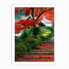 Autumn Leaves In A Garden Art Print