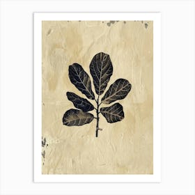 Eucalyptus Leaf 3 Art Print