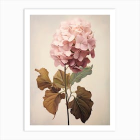 Floral Illustration Hydrangea 4 Art Print