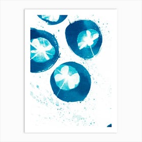 Blue Poppy Circles Art Print