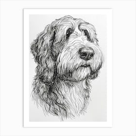 Old English Sheepdog Line Sketch 2 Art Print