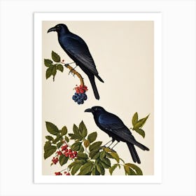Raven James 3 Audubon Vintage Style Bird Art Print