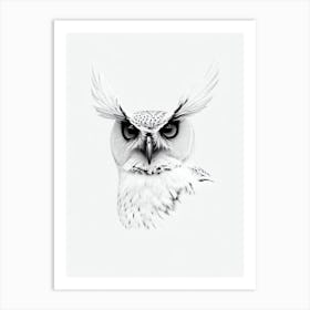 Owl B&W Pencil Drawing 4 Bird Art Print