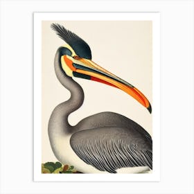 Pelican James Audubon Vintage Style Bird Art Print