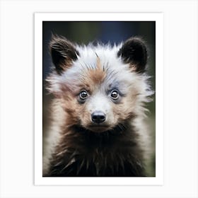 Color Photograph Of A Bear Cub Art Print