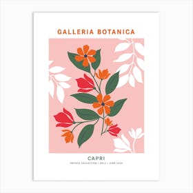Galleria Botanica Capri Art Print