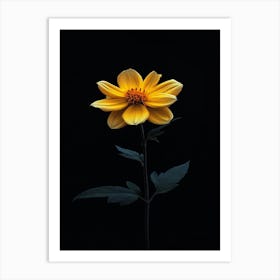 Yellow Dahlia 1 Art Print