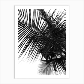 Palm Tree 4 Art Print