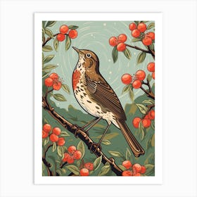 Vintage Bird Linocut Hermit Thrush 1 Art Print