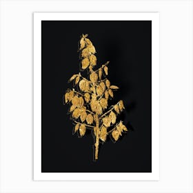 Vintage Adam's Needle Botanical in Gold on Black n.0451 Art Print