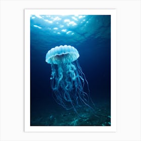 Irukandji Jellyfish Ocean Realistic 1 Art Print