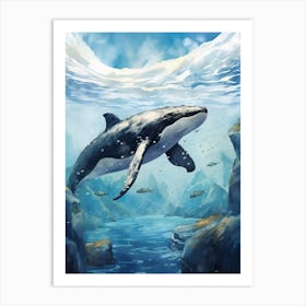 Minke Whale Realistic Illustration 1 Art Print