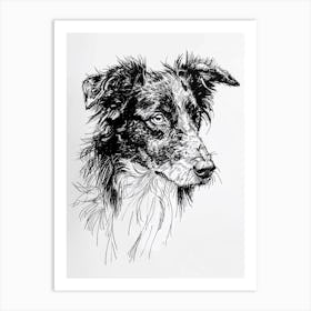 Sheep Dog Line Sketch 2 Art Print