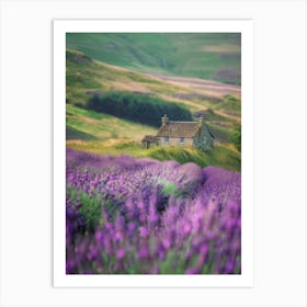 Lavender Fields In Scotland Art Print