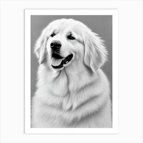 Great Pyrenees B&W Pencil Dog Art Print