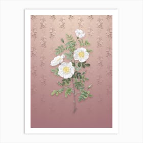 Vintage White Burnet Roses Botanical on Dusty Pink Pattern n.1899 Art Print