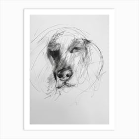 Sleepy Dog Charcoal Line Art Print