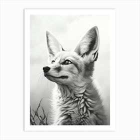 Tibetan Sand Fox Portrait Pencil Drawing 3 Art Print