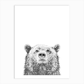 Bear Animal Print Art Print