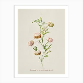 Vintage Botanical Macaroons 01 Art Print