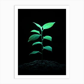 Green Plant Growing In The Dark 2 Art Print