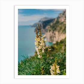Amalfi Coast Blooms Art Print