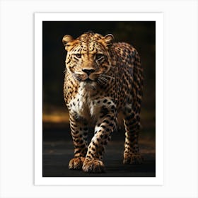 Leopard Walking On The Road Art Print