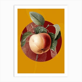 Vintage Botanical Snow Calville Apple Calville Blanc on Circle Red on Yellow n.0180 Art Print