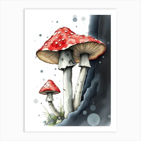 Mushrooms On A Rock Art Print