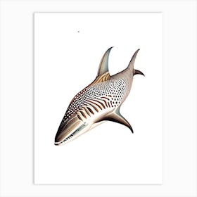 Zebra Shark Vintage Art Print