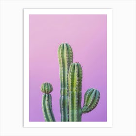 Cactus On Purple Background Art Print