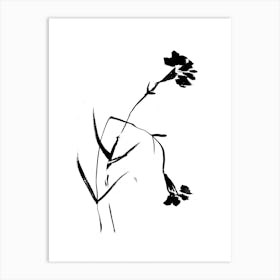 Black Carnation Flowers Art Print