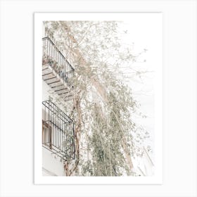 Vines On Apartment Art Print