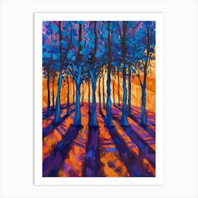 Sunset In The Woods 5 Art Print