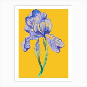 Blue Iris Art Print