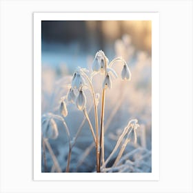 Frosty Botanical Snowdrop 3 Art Print