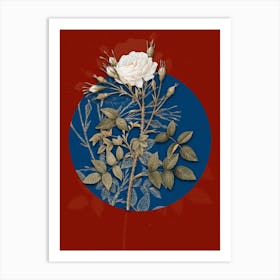 Vintage Botanical White Rose of Rosenberg on Circle Blue on Red n.0328 Art Print