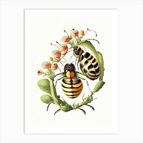 Larva Bees 4 Vintage Art Print