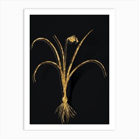 Vintage Brimeura Botanical in Gold on Black Art Print