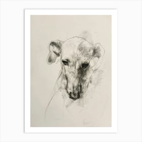 Dog Minimalist Line Charcoal Portrait Art Print