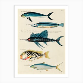 Colourful And Surreal Illustrations Of Fishes Found In Moluccas (Indonesia) And The East Indies, Louis Renard (73) Art Print