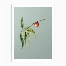 Vintage Peach Botanical Art on Mint Green n.0113 Art Print