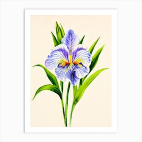Iris 2 Vintage Flowers Flower Art Print