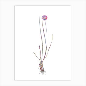 Stained Glass Allium Foliosum Mosaic Botanical Illustration on White n.0172 Art Print