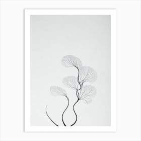 Leafy Sea Dragon Black & White Drawing Art Print