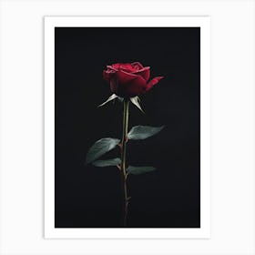 Single Red Rose On Black Background 32 Art Print