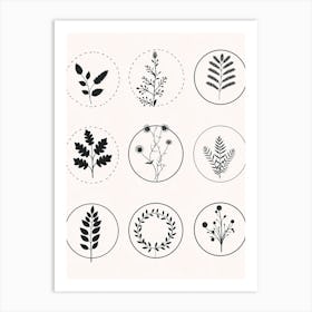 Collection Of Plants In Black And White Line Art 3 Art Print