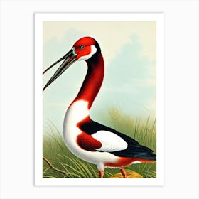 Bird Canvasback James Audubon Vintage Style Bird Art Print