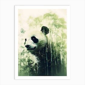 Panda Bear In The Forest Photo Art Print