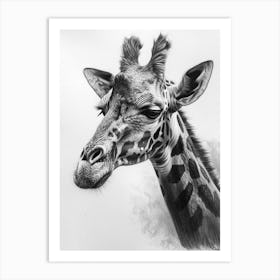 Giraffe Pencil Portrait 1 Art Print